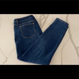 Michael Kors Blue Skinny Jeans, Size 16